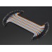 Premium Male/Male Jumper Wire (40 Pins x 20cm)